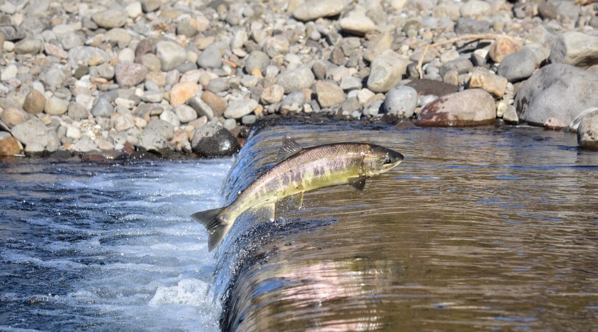 Konservativt mener at skattlegging skal gjøres på grunnlag av inntekt, utbytte, gevinst eller forbruk.